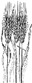 index003005.gif