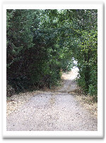 index006003.jpg